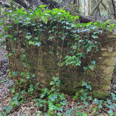 Episodio 68 - Il pozzo murato sul Colle del Roccolo Episodio 68 - Il pozzo murato sul Colle del Roccolo