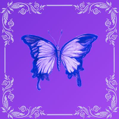 Let's be Kind Thursday (105)- Why the middle ground matters