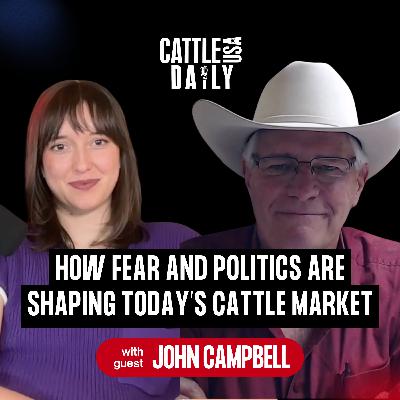 189: Why the Cattle Market Is Falling—and Who’s to Blame with John Campbell