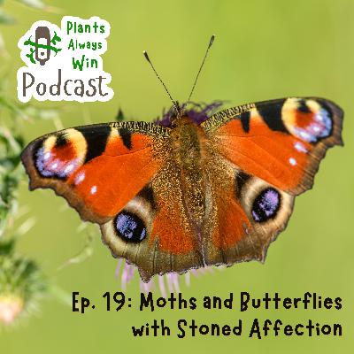 Ep. 19 Moths and Butterflies with Stoned Affection