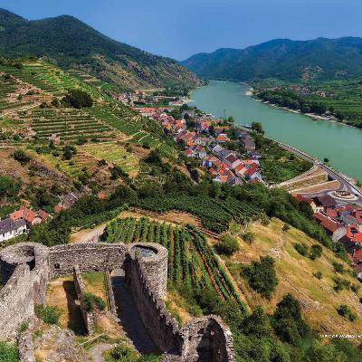 Tips for Enjoying Local European Wines, Restaurant House Wines Terrific, Local Wineries Smaller