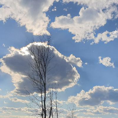 چرا باید حافظ را خصوصی خواند؟