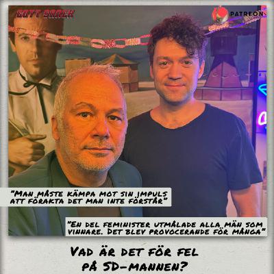 DEL 1. Vad är det för fel på SD-mannen?