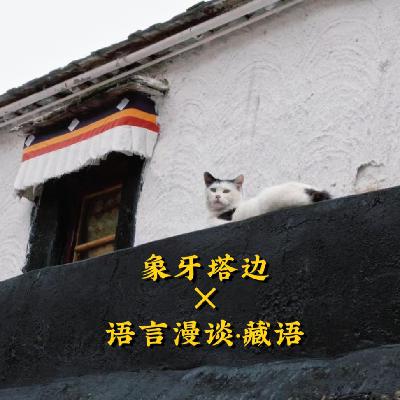 24. 语言漫谈 03：聊藏语，就绕不开“鲁神”的田野调查、本教宇宙观…