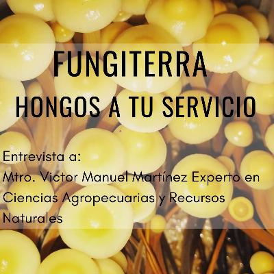 Fungiterra Hongos a tu Servicio_Un Tlacuache en la Ciudad