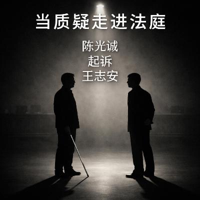 当质疑走进法庭:陈光诚起诉王志安 当质疑走进法庭:陈光诚起诉王志安