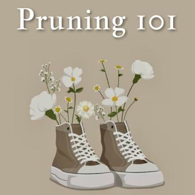 What is pruning and why should we do it? What is pruning and why should we do it?