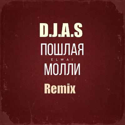 D.J.A.S & ELWAI-пошлая молли 2026