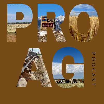 Episode 68: Advancing the Legacy with Hidi Fankhauser