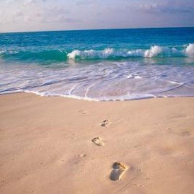 Beachy affair Beachy affair