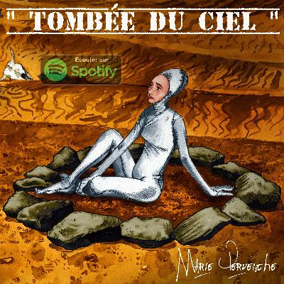 LES PAS NETS DU NET ( suite ) LES PAS NETS DU NET ( suite )