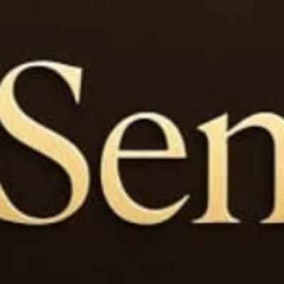 The Sen 中文
