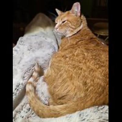 Episode 3036 CWSA 12/04/25 Episode 3036 CWSA 12/04/25