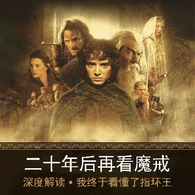 二十年后再看魔戒，深度解读-我终于看懂了指环王