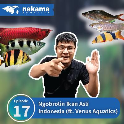 Eps 17 : "Ngobrolin Ikan Asli Indonesia" (ft. Venus Aquatics) Eps 17 : "Ngobrolin Ikan Asli Indonesia" (ft. Venus Aquatics)