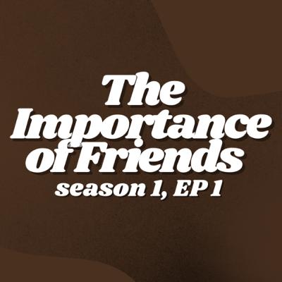 (S1, E1) The Importance of Friends