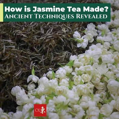 The Art of Traditional Jasmine Tea Scenting