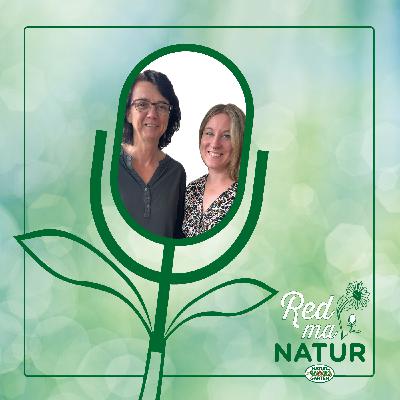 Blühender Wildbienen Garten