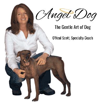 Healing through Animal Bereavement Healing through Animal Bereavement