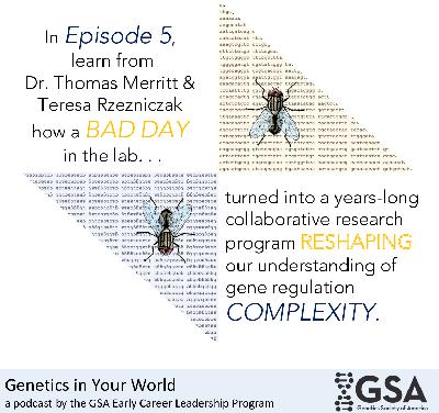 Happy accidents in the lab – A Discussion with Dr. Thomas Merritt