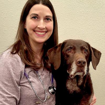 Fear, Behaviour, and the Vet Visit — with Dr. Heather Skinner Fear, Behaviour, and the Vet Visit — with Dr. Heather Skinner