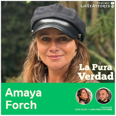 La Pura Verdad con Amaya Forch La Pura Verdad con Amaya Forch