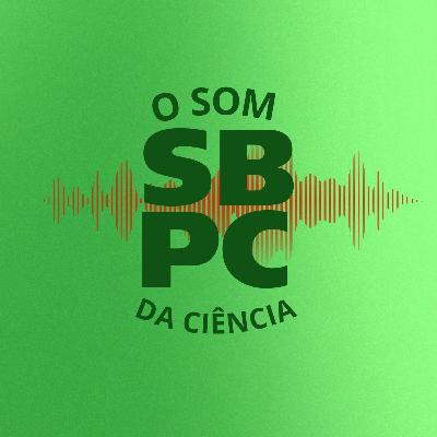 T7#7 – Mata Atlântica: cinco séculos de devastação
