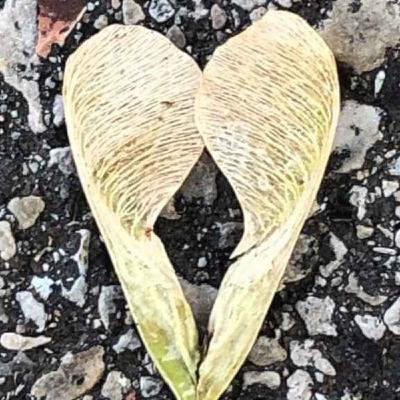 The Catherine Thomas Podcast - "Magical Mel Robbins Mantra" The Catherine Thomas Podcast - "Magical Mel Robbins Mantra"