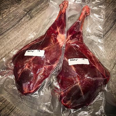 Ivaretakelse av viltet - Vann, stikking og full blære Ivaretakelse av viltet - Vann, stikking og full blære