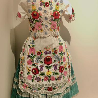 外国人留学生シリーズ第二弾 ハンガリー人が紹介するハンガリーと中東欧の歴史