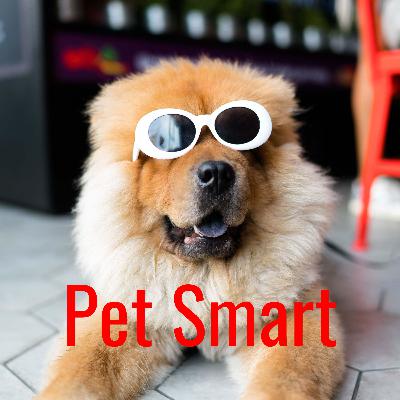 Pet Smart: Interactions with Pets