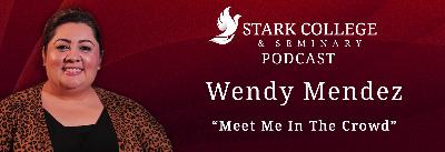 Wendy Mendez  “Meet Me In The Crowd” Wendy Mendez  “Meet Me In The Crowd”
