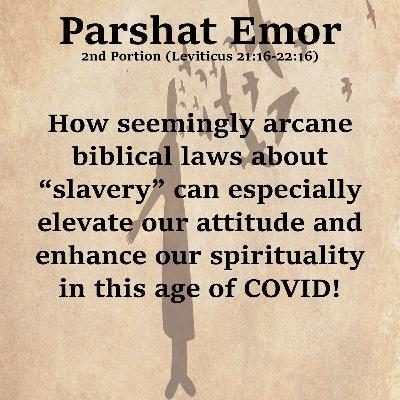 How seemingly arcane biblical laws about “slavery” can especially elevate our attitude...