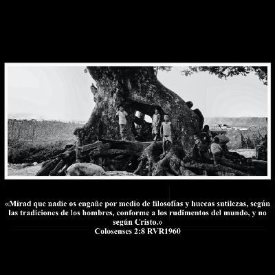 Raices Raices