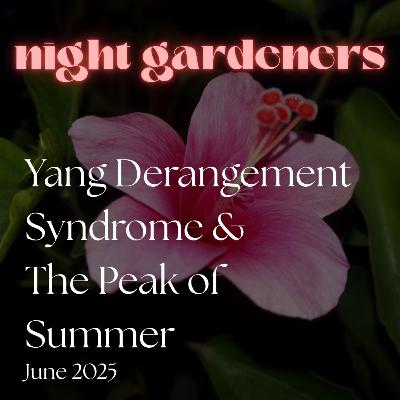 Night Gardeners Summer 2025 part 2