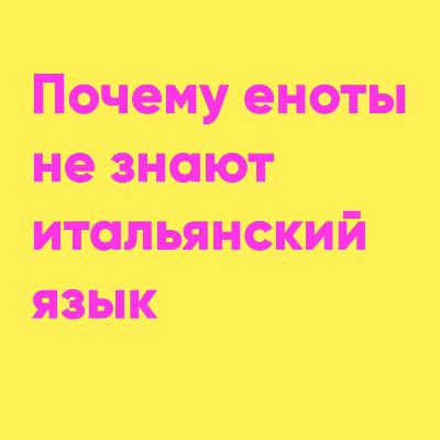 Почему еноты не знают итальянский язык? | Папа и Герман