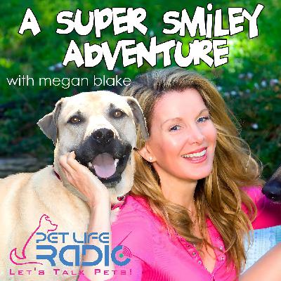 Best of A Super Smiley Adventure - Encore Presentation: Episode 39 A Heart to Heart with Big Screen Tough Guy, Michael Madsen - About his Lo