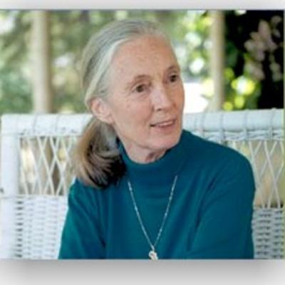 JANE GOODALL talks to the Children of the World JANE GOODALL talks to the Children of the World
