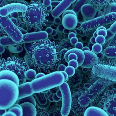 EP80: The Gut Microbiome Episode EP80: The Gut Microbiome Episode