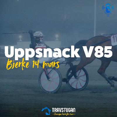 V85 Bjerke 14 mars: "Nästan 100% vinstchans"
