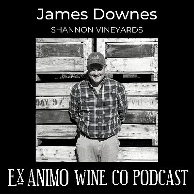 James Downes, Shannon Vineyards