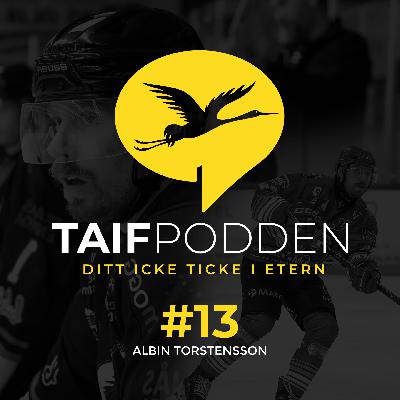#13: Albin Torstensson