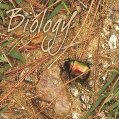 CH-11 TRANSPORT IN PLANTS