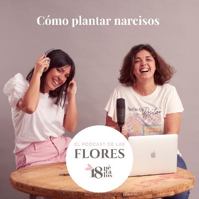 Episodio 28. Cómo plantar narcisos