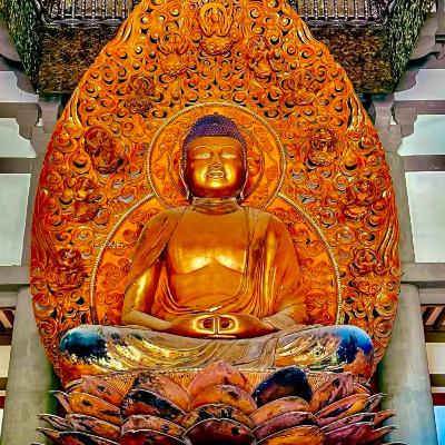 Because I Didn't Read It -- The Dhammapada