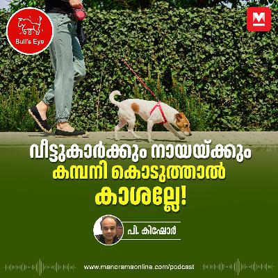 വീട്ടുകാർക്കും നായയ്ക്കും കമ്പനി കൊടുത്താൽ കാശല്ലേ?!  | Pet Care Giving |Business Idea | New Business Idea | Bulls Eye | New Business Trend