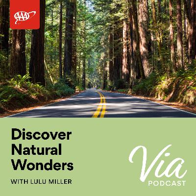 Discover Natural Wonders with Lulu Miller