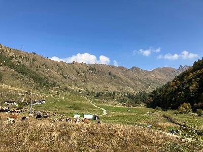 Il cavallo d'Introbio: improvvisazione con mio figlio