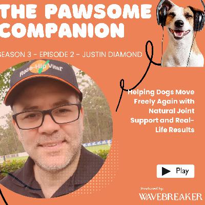 Joint Health, Happy Tails: The Natural Supplement Helping Aussie Pets Thrive