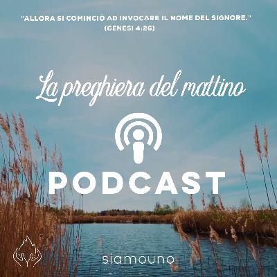 CAPOVOLGIMENTO DIVINO - 08/11/25